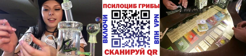 MEGA ссылки  Элиста  Галлюциногенные грибы Psilocybine cubensis 